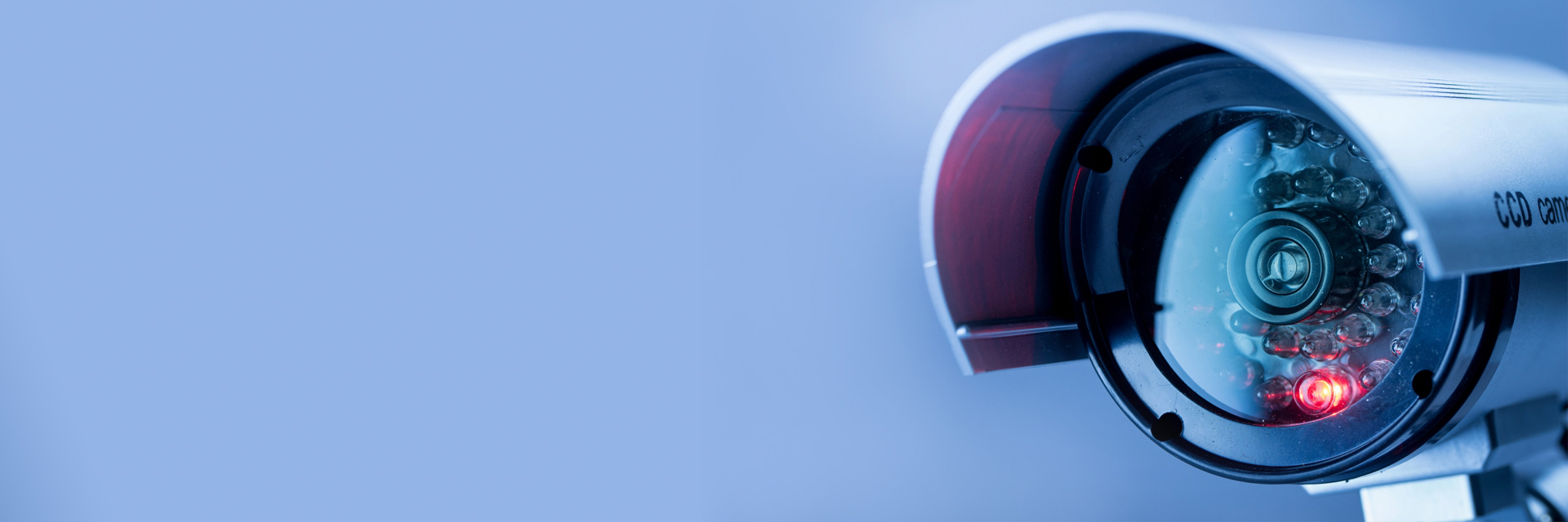 Where Art and Technology Collide